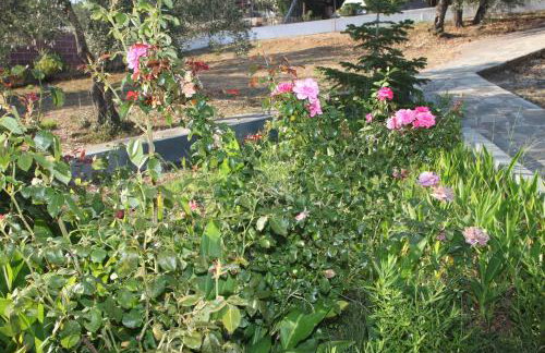 Armonia Guesthouse - Foto 37