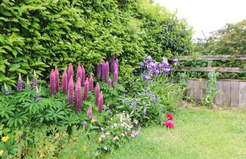 Mordon Moor Cottage - Foto 30