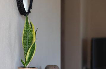 Athos View - Golden Fig Sykia lodge - Foto 10