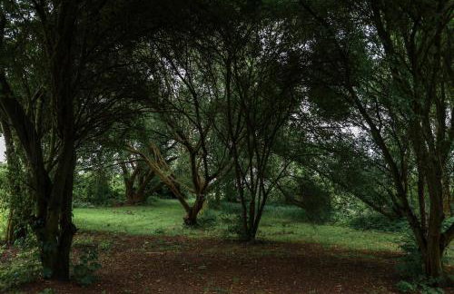 Jej i Jego - Eleganckie domki z balią na wyłączność - Photo 54