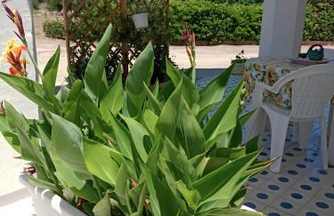 La Casetta del Borgo Marinaro - Foto 40