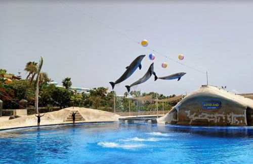 Olimpus Apart Leasure - Foto 23