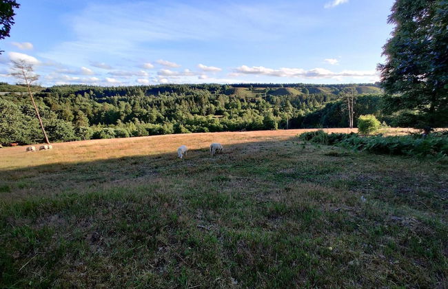 Bright Cottage Retreat in Silkeborg-by Traum - Foto 10