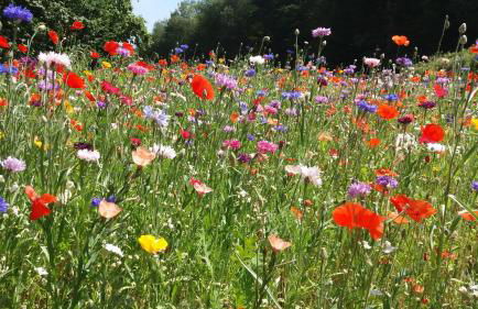 HOME4GOLF Uttlau - Foto 43