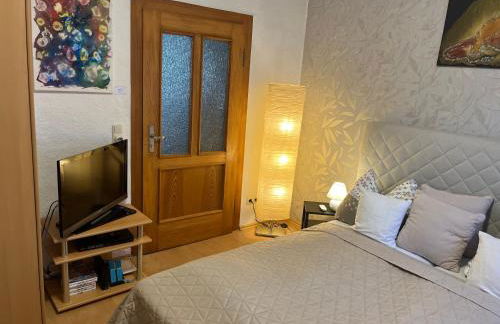 Delux Ferienwohnung Kunstgalerie und Ilmradweg - Photo 40