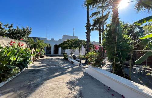 Domaine des Palmiers - Foto 1