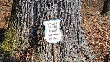 Dorfliebe Reicherstein - Foto 3