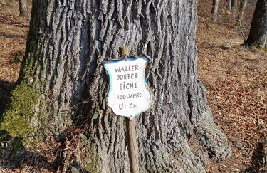 Dorfliebe Reicherstein - Foto 3