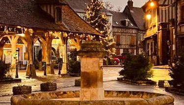 Centre historique de LYONS LA FORET Hotel de Maître le Cottage - Foto 4