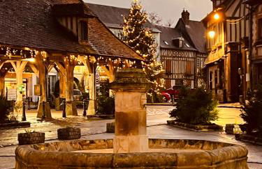 Centre historique de LYONS LA FORET Hotel de Maître le Cottage - Foto 4