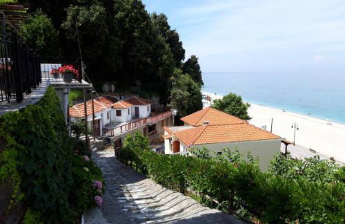 Ammos papanero - Foto 35