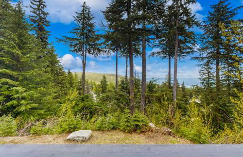 3 Bed 3 Bath Vacation home in Schweitzer Mountain - Foto 20