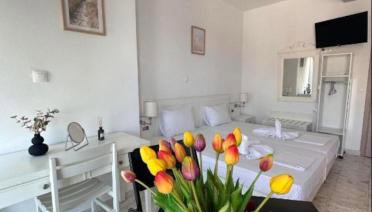 Nova Marine - Foto 4