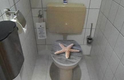 Bichlhof Bärfra Ferienwohnung Am Brunnen - Foto 18