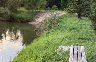 Domek Samice - Foto 47