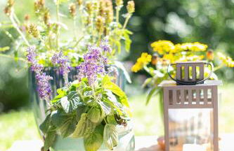 Geographer`s Cottage II - Foto 13