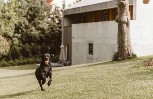 Ferienhaus TierbachLodge - Foto 6