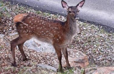 Cosy Holiday Home Acharacle Sleeps 6 - Photo 29