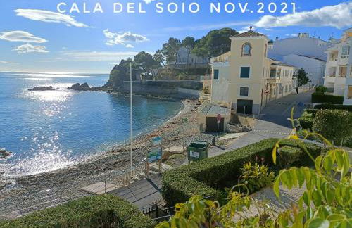 Altea Flying Whale - Photo 25