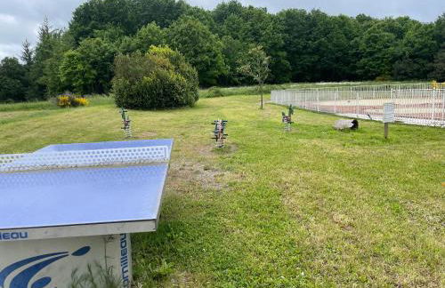 Chalet lac de la Raviege vue lac - Foto 9