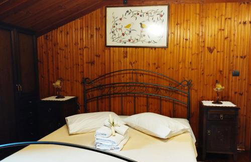 "The plane trees" - Foto 23