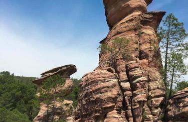 Cabaña de madera especial y acogedora - Foto 38