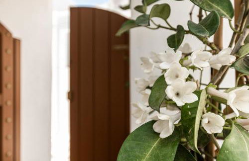 Memorias Sangri Naxos - Foto 42