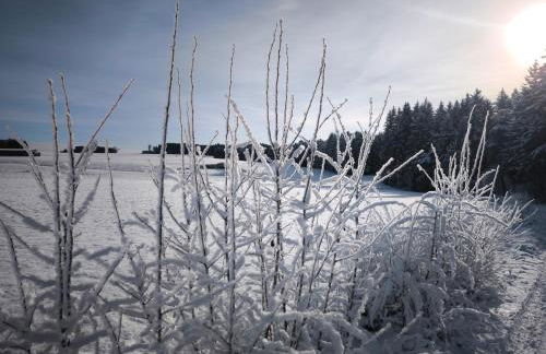 Haus Rosengarten - Foto 35