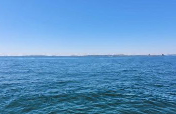 Executive home in a serene park like setting - Foto 38