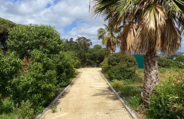 Finca Dos Vientos Tarifa - Foto 6