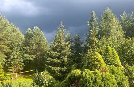 Raj na Kaszubach - Pałubicka Bór - Domy na Wynajem - Foto 69