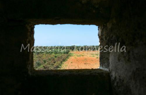 Masseria Tornesella Don Giuliano - Foto 63