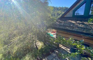 Chata w Szczyrku sauna & balia - Foto 13