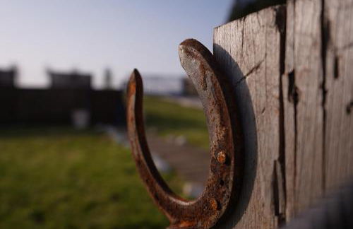 HERDADE PALMA t2 - Foto 36