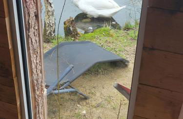 Cabane atypique sur une Île - Foto 45