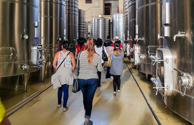 Tour por las bodegas del valle de la Concepción - Foto 6