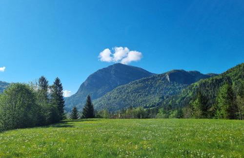 Prümbachhof - Foto 38