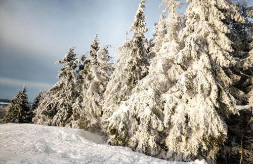 Ferienwohnung Vor der Stephanskuppe - Foto 22