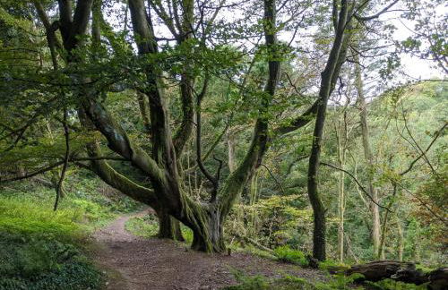 Luxury Lodge sea view at Bideford Bay Hoilday Park Parkdean Resorts - Foto 17