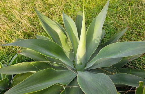 Brisa do Mar - Foto 18