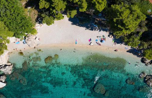Beachfront Apartments Vala with a swimming pool - Photo 29