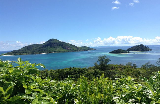 Castaway Lodge - Photo 32