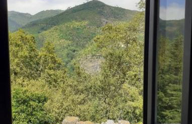 Villa Dos Santos - Gerês Country House - Foto 55