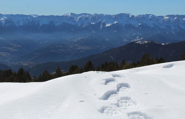 Casa rural cal Rei - Foto 21