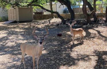 Hidden Haven - Foto 38