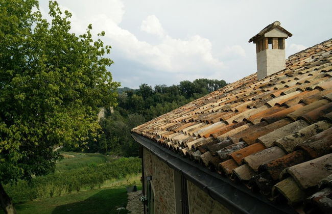 Azienda Agricola Baccagnano - Photo 37