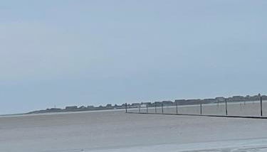 Seestern am Naturstrand - Foto 5