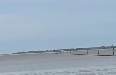 Seestern am Naturstrand - Foto 5