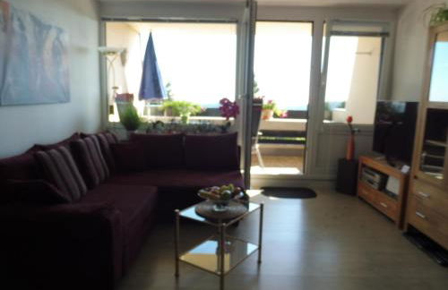 Komfortable Wohnungen und Studio in Sankt Englmar - Foto 13