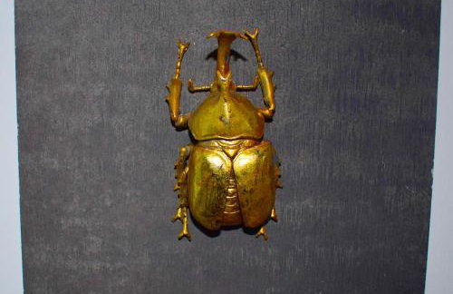 Renia's house - Foto 21